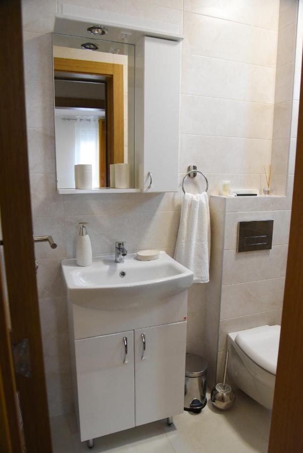 Millenium Apartment Sokobanja Kültér fotó