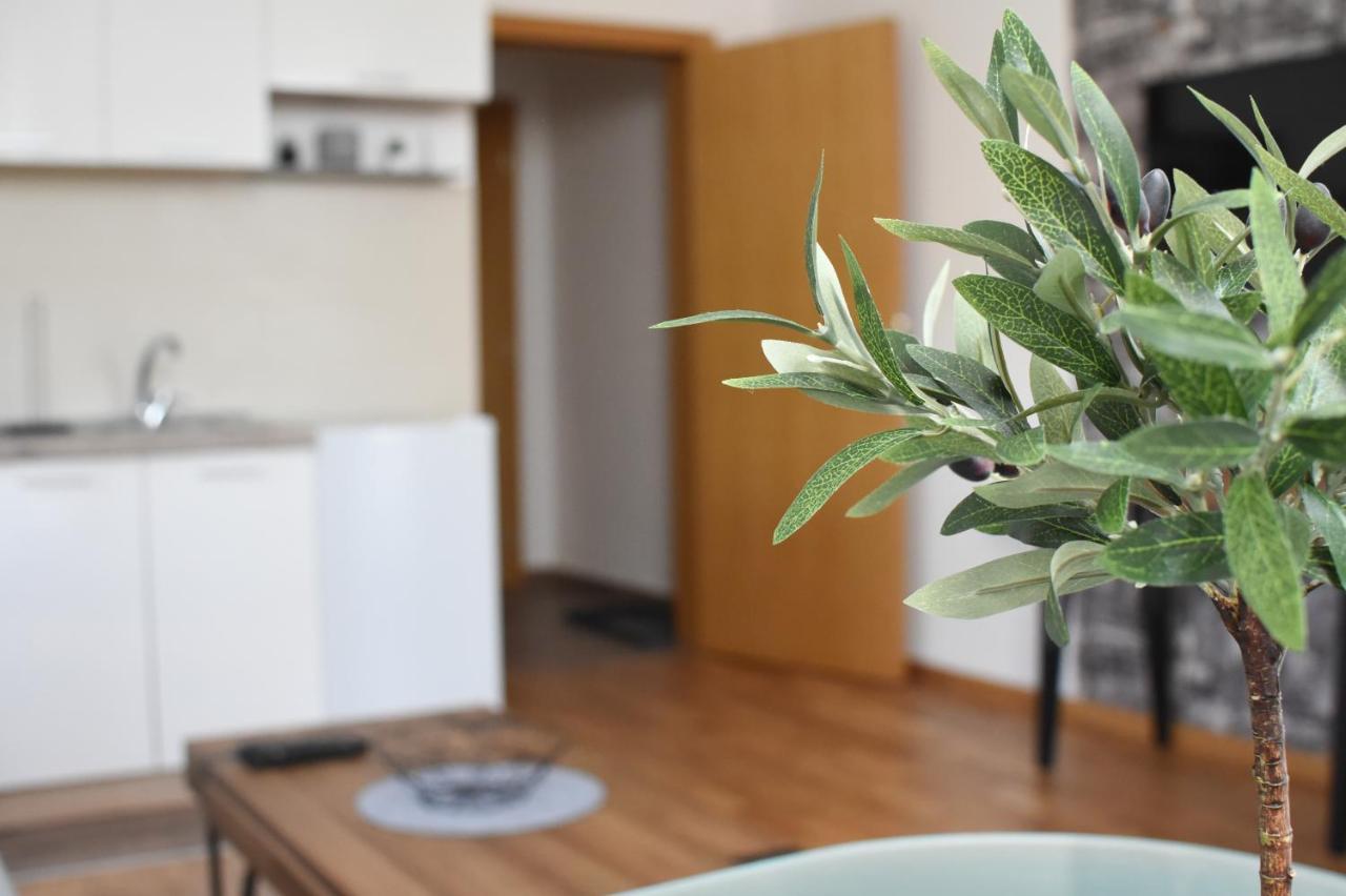 Millenium Apartment Sokobanja Kültér fotó